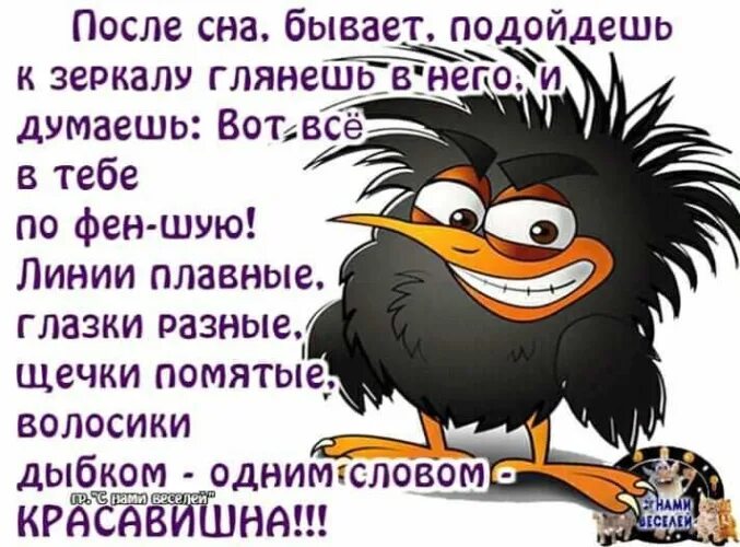 Спи бывают