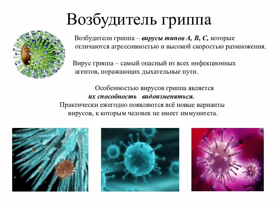 Что означает грипп а. Грипп возбудитель болезни. вирус гриппа возбудитель. грипп возбудитель болезни кратко. типы возбудителей гриппа.