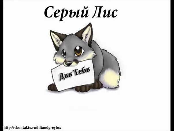 Серый лис слушать. Серый лис чунский. Неформат песня. Серый лис слушать. Островная серая лисица.