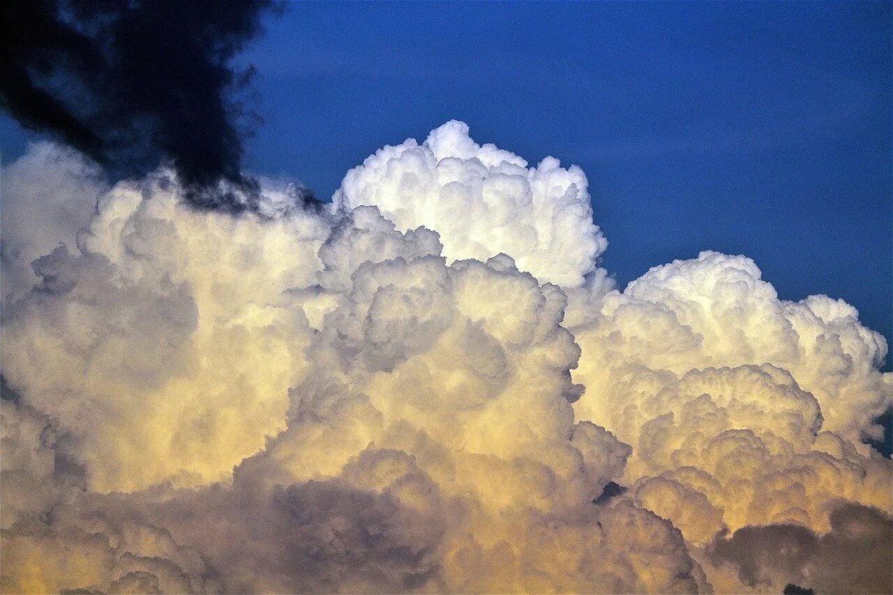 Как выглядит облако. Cumulus congestus облака. Кучевые облака (Cumulus. Пиро Кучевые облака. Кумулус Нимбус.