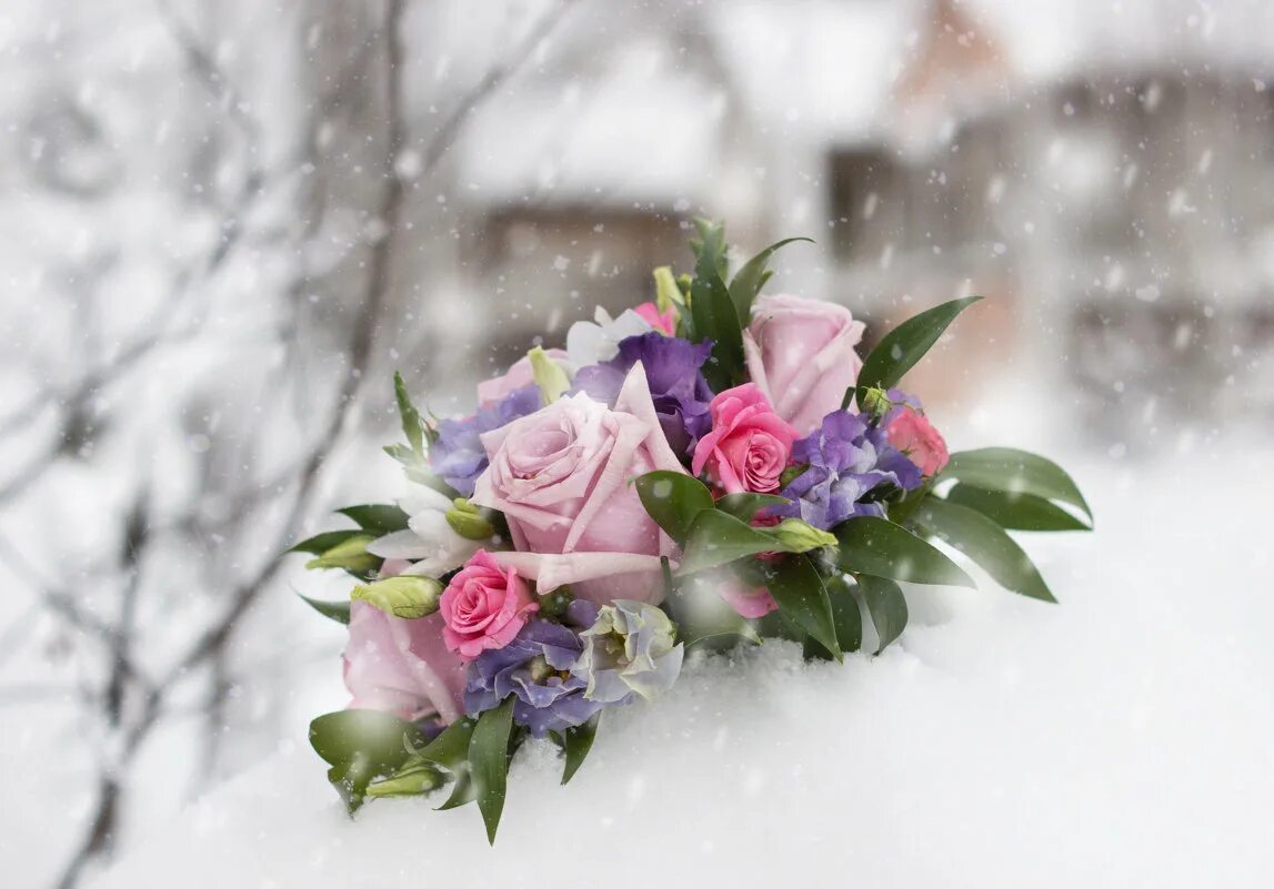Зимние цветы. Цветы зимой. Красивые зимние цветы. Зимний букет. С днем рождения женщине зимнее