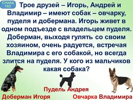 Раз собака 2 собака
