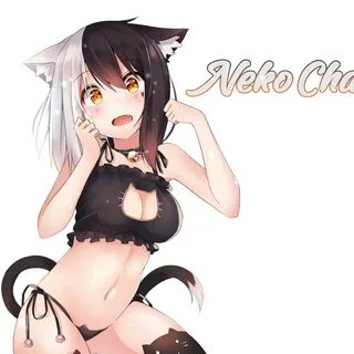 Neko nsfw
