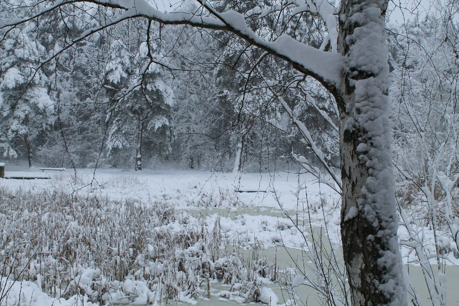 Тройка в санях. Выпал беленький снежок ехал ванечка дружок. Эх зимушка зима открытки. Сани с тройкой лошадей. Ах ты наша зимушка снежная.