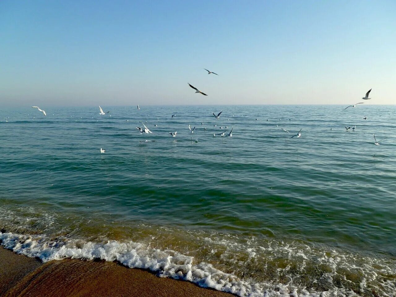 Одесское море. Черное море Одесса. Черное море Одесса берег моря. Черное море Одесса фото. Черное море Одесский горсовет.