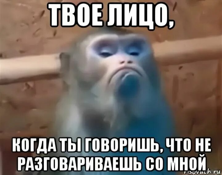 Ничего не хочешь мне рассказать. Со мной не разговаривают. Опять обиделась. Твоё лицо когда ты говоришь что со мной не разговариваешь. Ты со мной не разговариваешь.