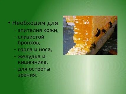 Пчелы биология 7 класс