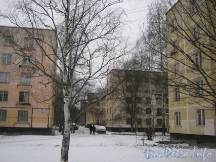 Летчика пилютова 2