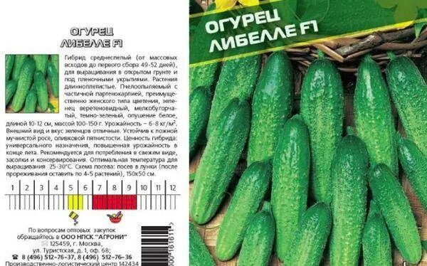 Сорт огурцов миринда описание. Огурец луховицкий f1. огурец сорт маринда. огурец маринда f1 урожайность. артист огурец маринда.