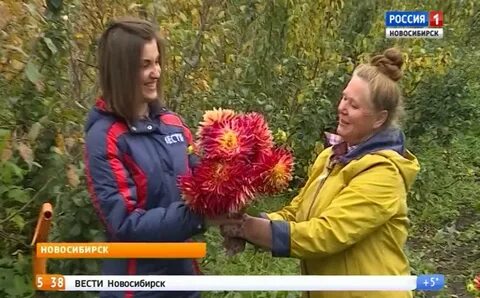 Любители садоводы новосибирска