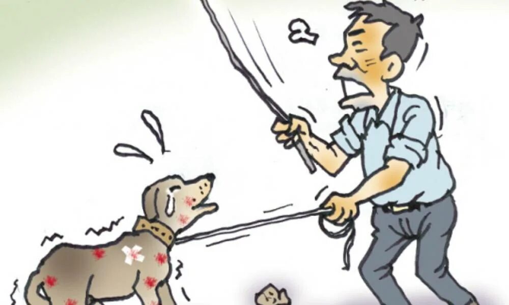 бьют животных. человек ругает собаку. хозяин ругает собаку. человек ругает собаку. наказание собаки.