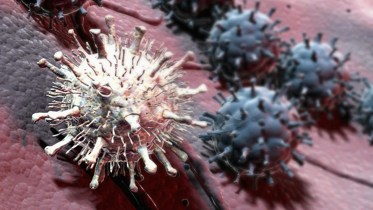 микробы коронавируса под микроскопом. вирусные 8 лет. птичий грипп возбудитель. стоп коронавируса фото. вирус h1n1.