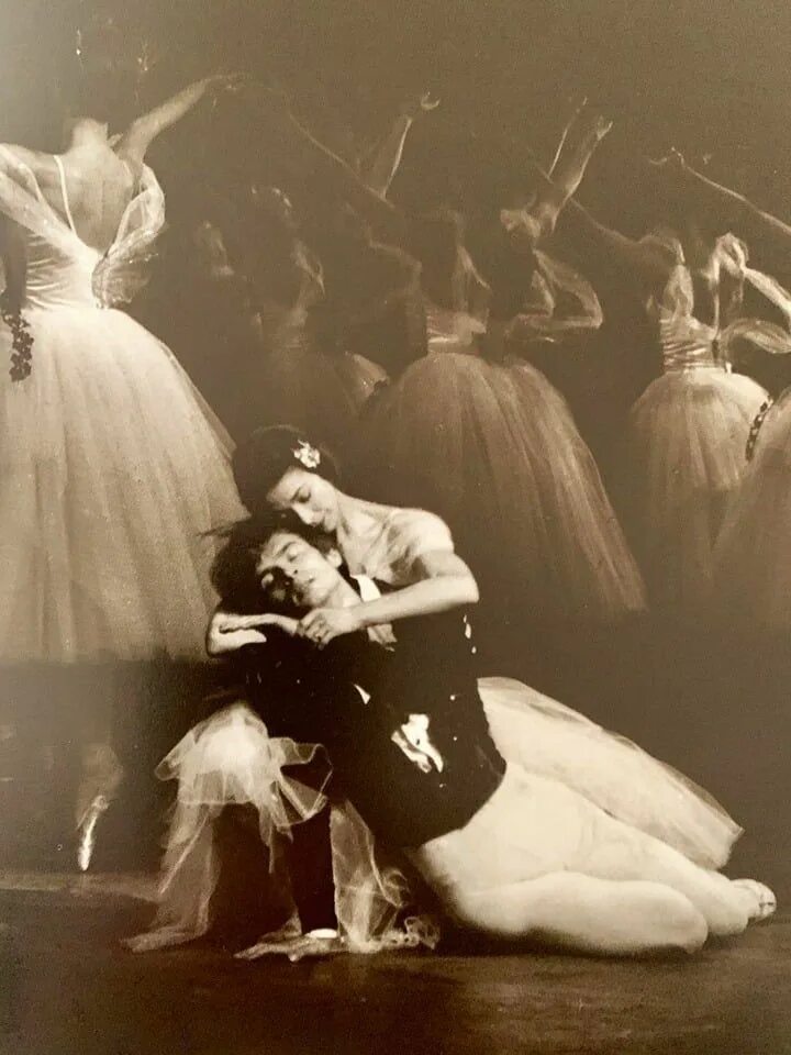 Балет Жизель Нуриев и Фонтейн. Марго Фонтейн. Марго Фонтейн балерина. Балерина фонтейн 5