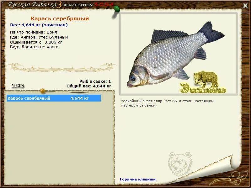 Русская рыбалка 3 bear edition карась. Русская рыбалка 3 bear edition. Русская рыбалка 3 рыбхоз карась золотой. Систематика золотого карася. Рыбалка 3 карася.