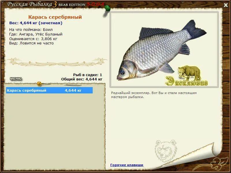 Русская рыбалка карась серебряный. Русская рыбалка 3 карась серебряный. Русская рыбалка 3 Bear Edition карась. Русская рыбалка 3 7 6 Ангара карась серебряный трофей. Русская рыбалка 3 озеро карась серебряный квест.