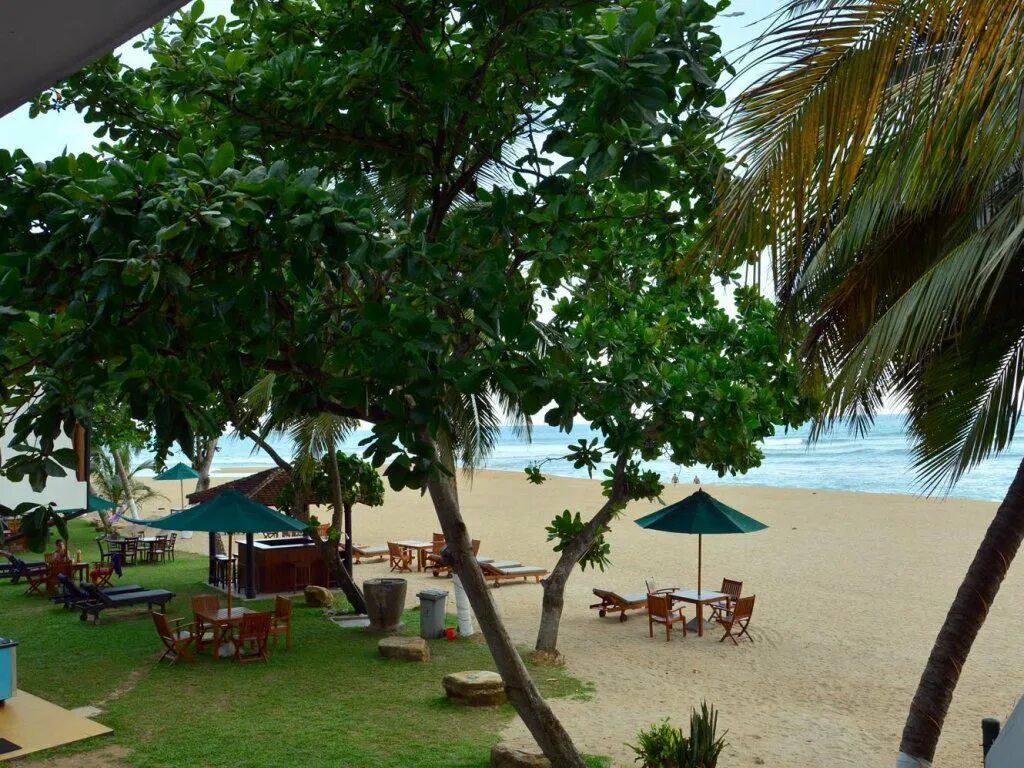 Отели в унаватуне шри. Joes resort unawatuna 3. унаватуна шри-ланка отели. унаватуна шри ланка. joe’s resort unawatuna.