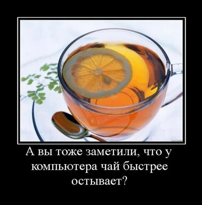 Настроение пить чай. Смешной чай. приколы про чай. чай юмор. смешные шутки про чай.