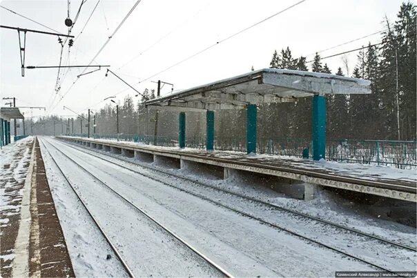Снт стройдормашевец в волоколамском районе. Новопетровская 91 км. Новопетровская жд станция. Новопетровская 91 км. Станция лесодолгоруково.