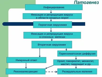 Патогенез первичных