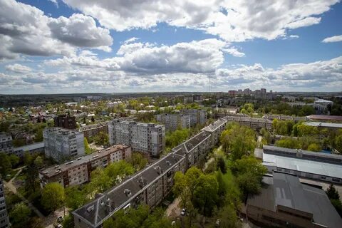 Заросла 2