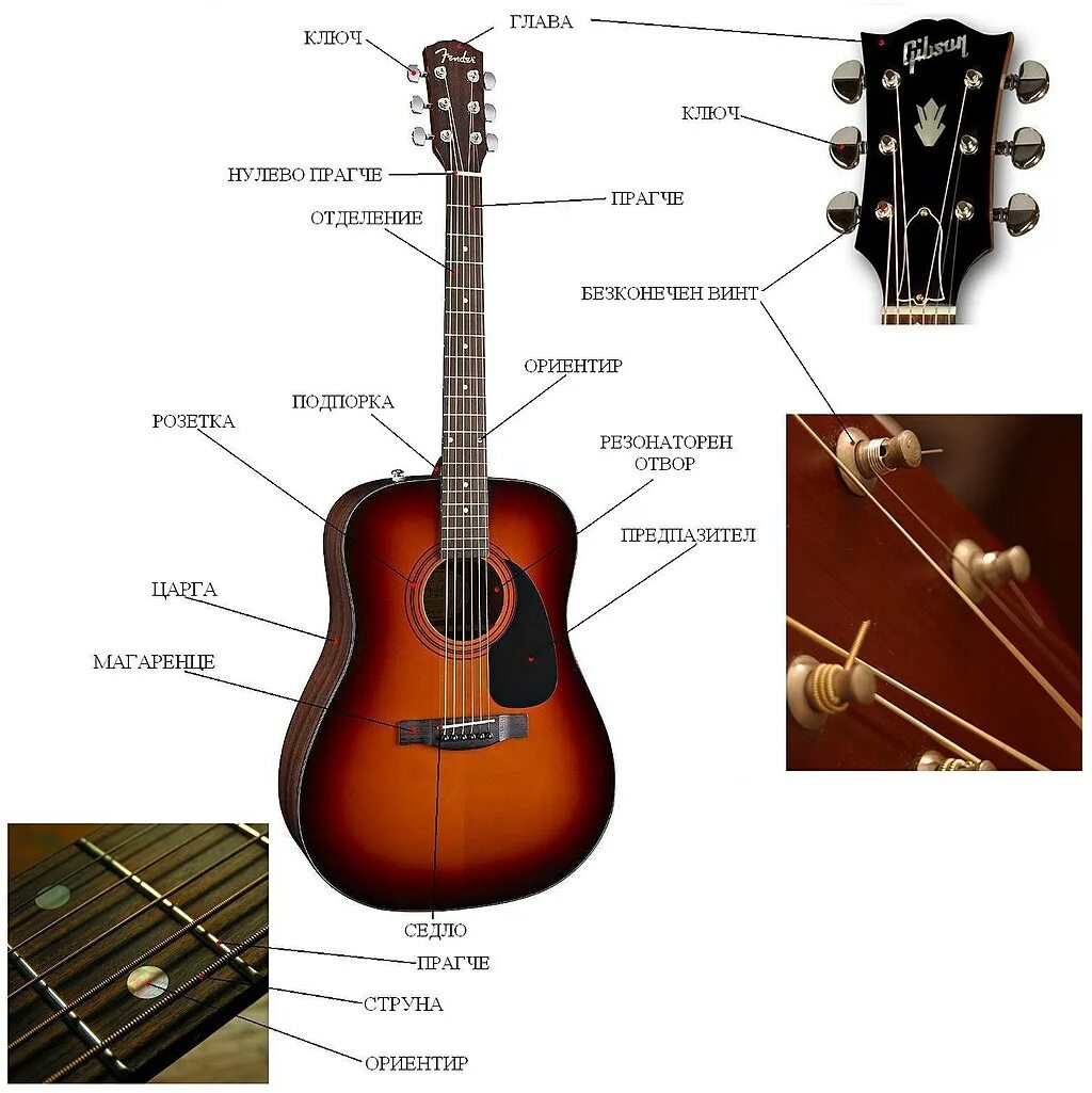 Строение гитары акустической 6 струнной. Строение гитары акустической 6 струнной схема. Строение гитары классической 6 струнной. Гитара строение гитары акустической. Гитара акустическая названия