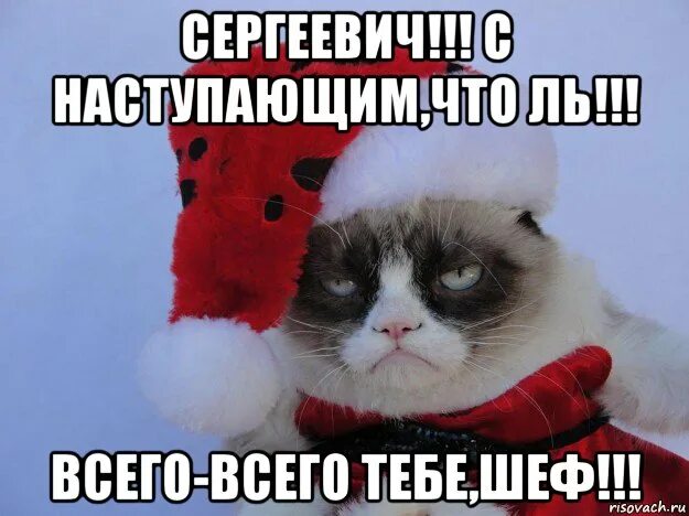 Всех бухающих товарищей поздравляю с наступающим. Нет новогоднего настроения. с наступающим новым годом мемы. с наступающим новым годом vtv. зоя с днем рождения прикольные поздравления.