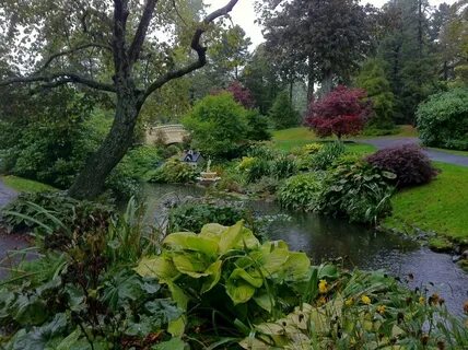 Lots of plants
