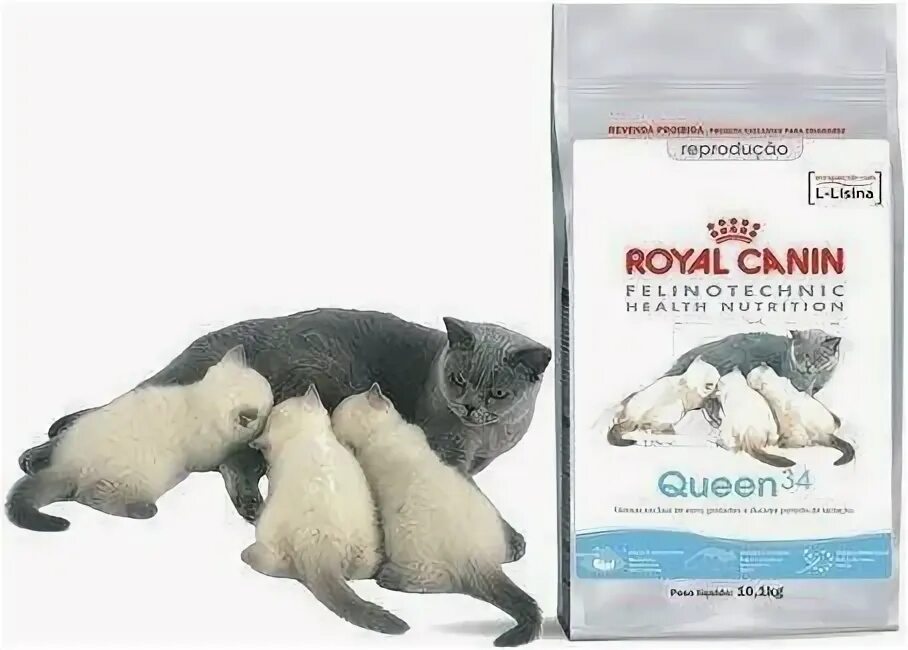Корм для беременных и кормящих кошек. Роял Канин Квин для кошек. Корм Queen для кошек Royal Canin. Корм Роял Квин для беременных 10. Royal Canin для беременных кошек.
