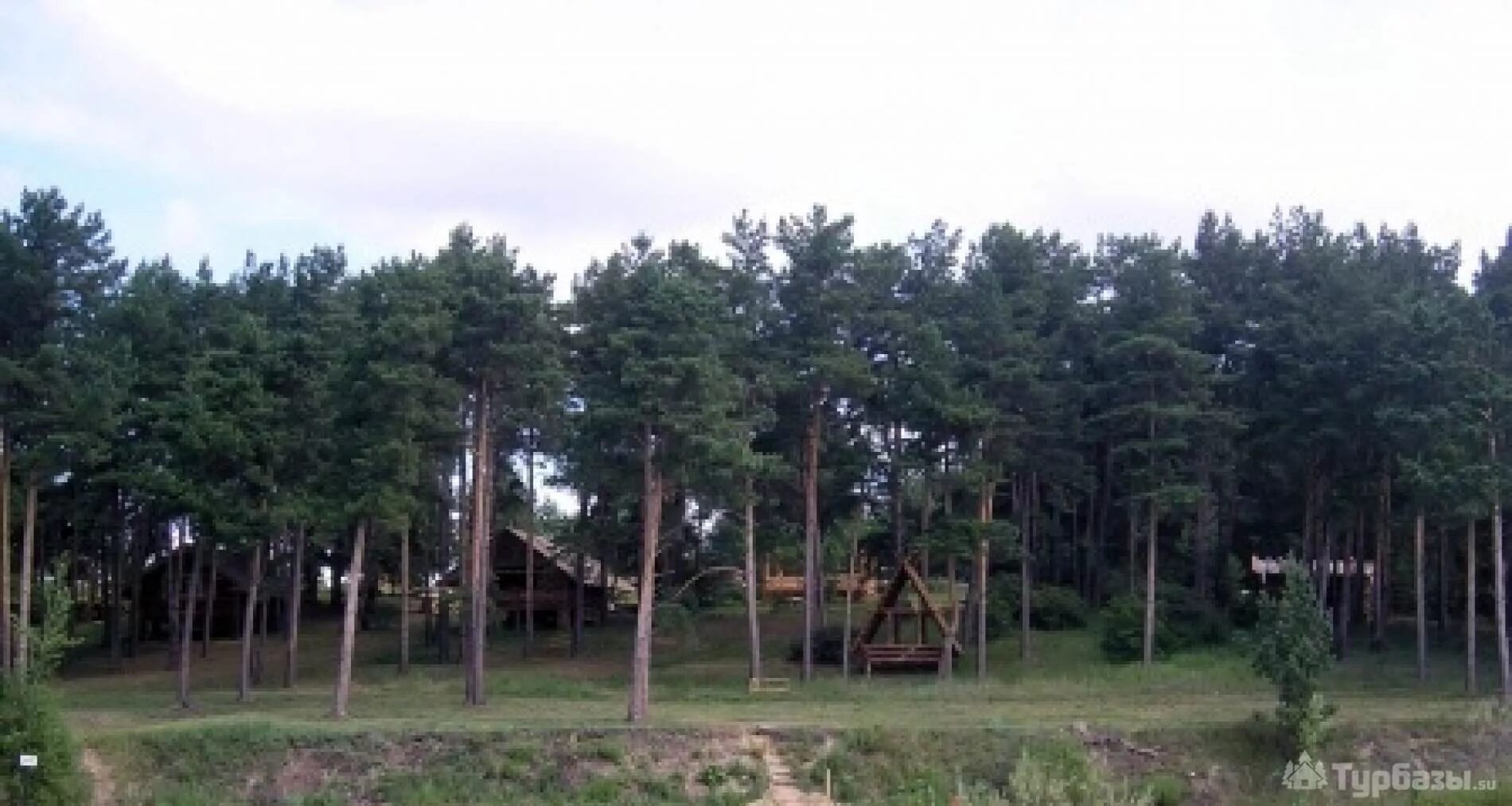 Экопарк русский берег ульяновск. Турбаза русский берег ульяновск. Русский берег телефон. Турбаза русский берег ульяновск. Эко парк русский берег.