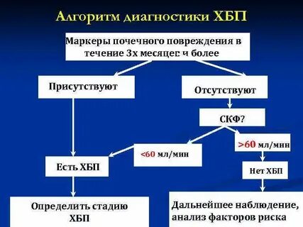 Присутствовавшие отсутствовали