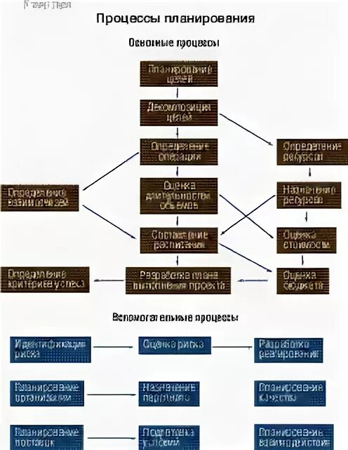 Основные понятия и процессы управления проектами Директор информационной службы 