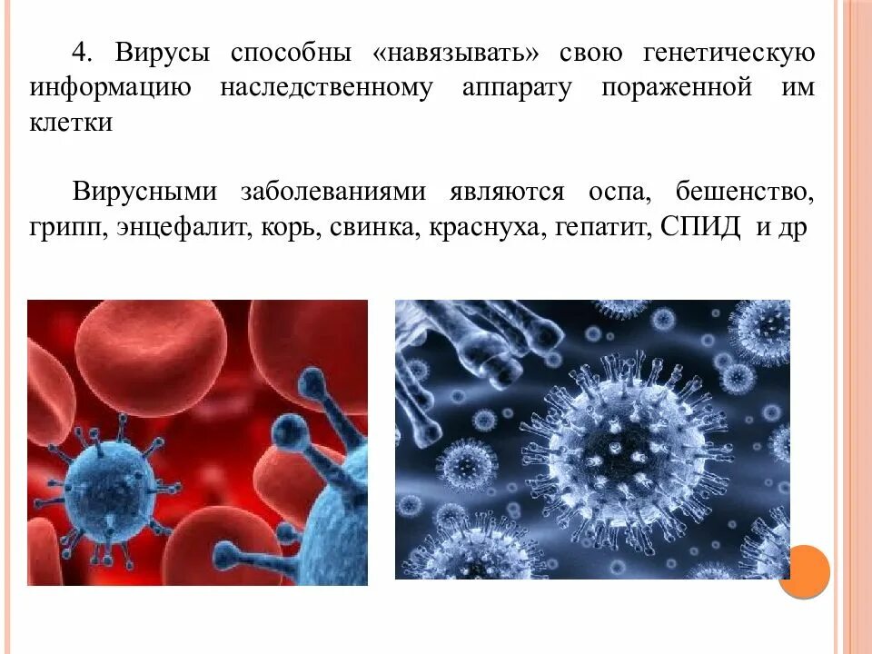 Вирус поражающий человека. Информация о вирусах. факторы вирусов. на что способны вирусы.