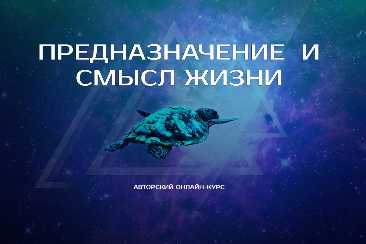 Предназначение смысл. Смысл жизни призвание. смысл жизни и предназначение человека. курс предназначение. курс призвание.