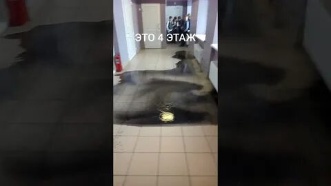 Залили школу