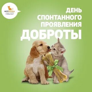 Какого числа день доброты в 2024 году