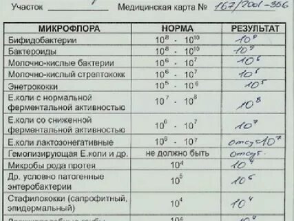 Анализ на дисбактериоз копрограмма