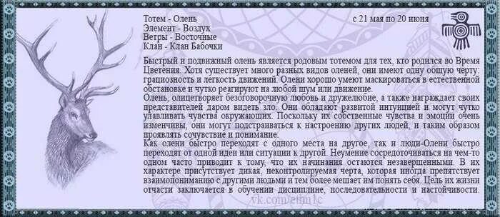 Тотемные животные знаков зодиака. Тотемное животное олень х. Тотемное животное олень характеристика. Тотемное животное знака зодиака Близнецы