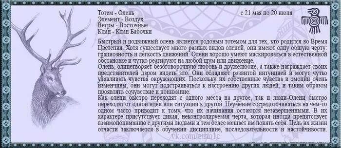 Гороскоп на май телец женщина. Тотемное животное по знаку. Тотемы животных. Тотемные животные по знакам зодиака. Ьлмзнец тотемное животное.