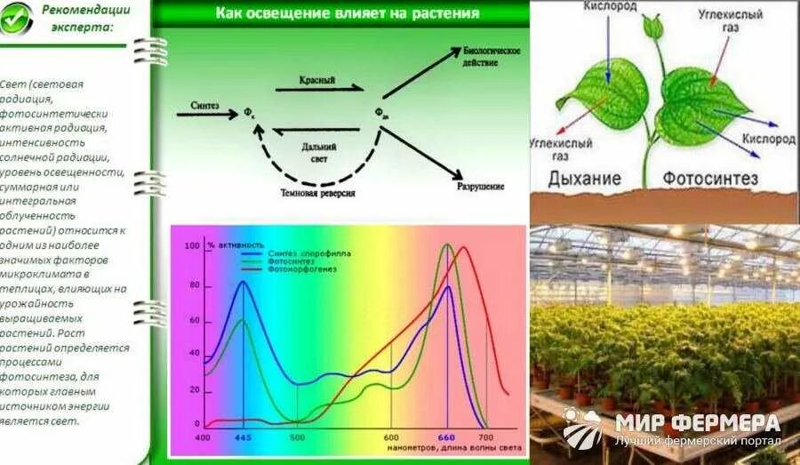 Как влияет освещенность