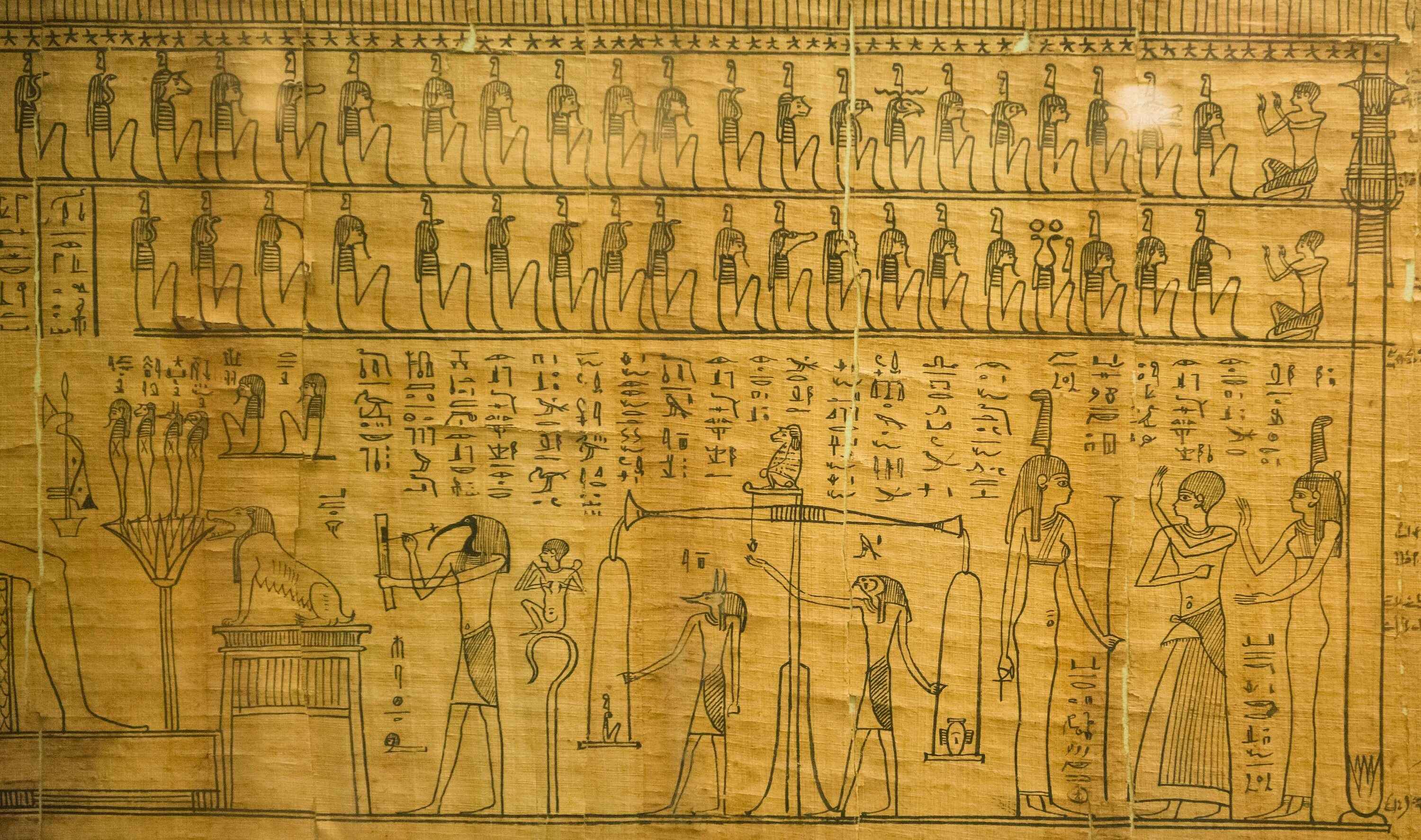 Эрмитаж сокровища египта. Папирусы истоки. Свиток папируса древний египет. Папирус древней греции. Папирус ани.