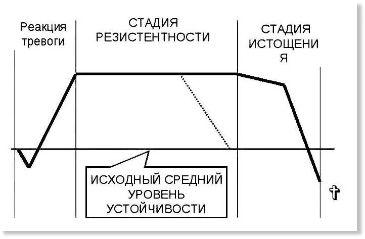 Выберите стадии стресса. Фазы стресса Селье. 3 Стадии стресса Селье. Адаптационный синдром г Селье. Стадии развития стресса по г Селье.