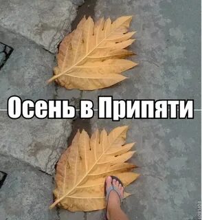 Первый день осени юмор