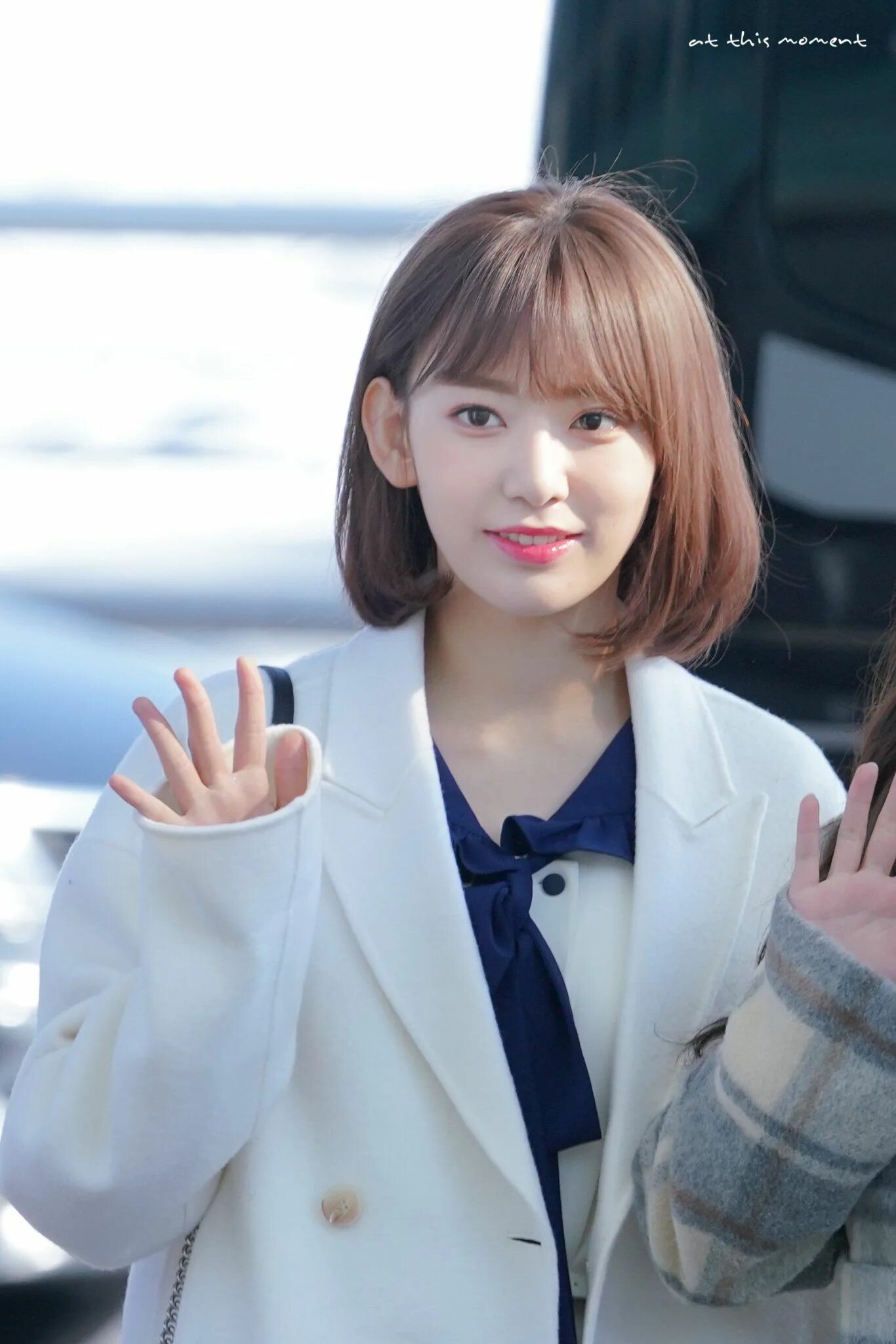 Megu nee sakura. Сакура айдол. Сакура мияваки с короткими волосами. Сакура айзуан. Сакура айдол.