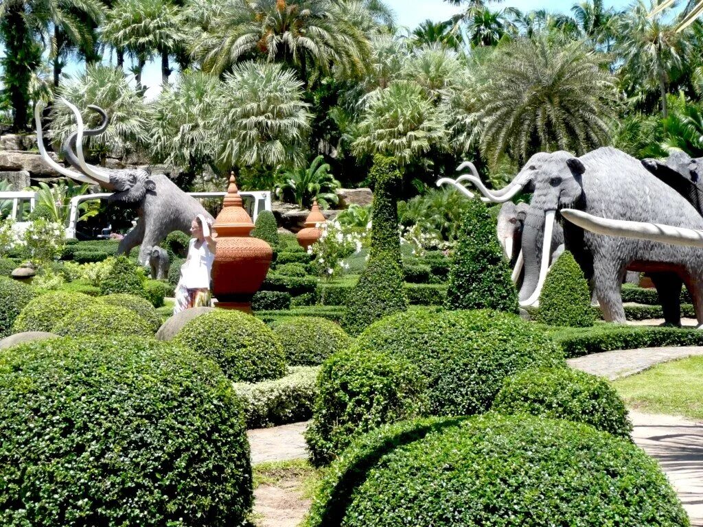 Ботанический сад новосибирск оранжерея тропических растений. Тропик парк. Ботанический сад нонг нуч. Ботанический сад самара оранжерея. Суан нонг нуч сад.