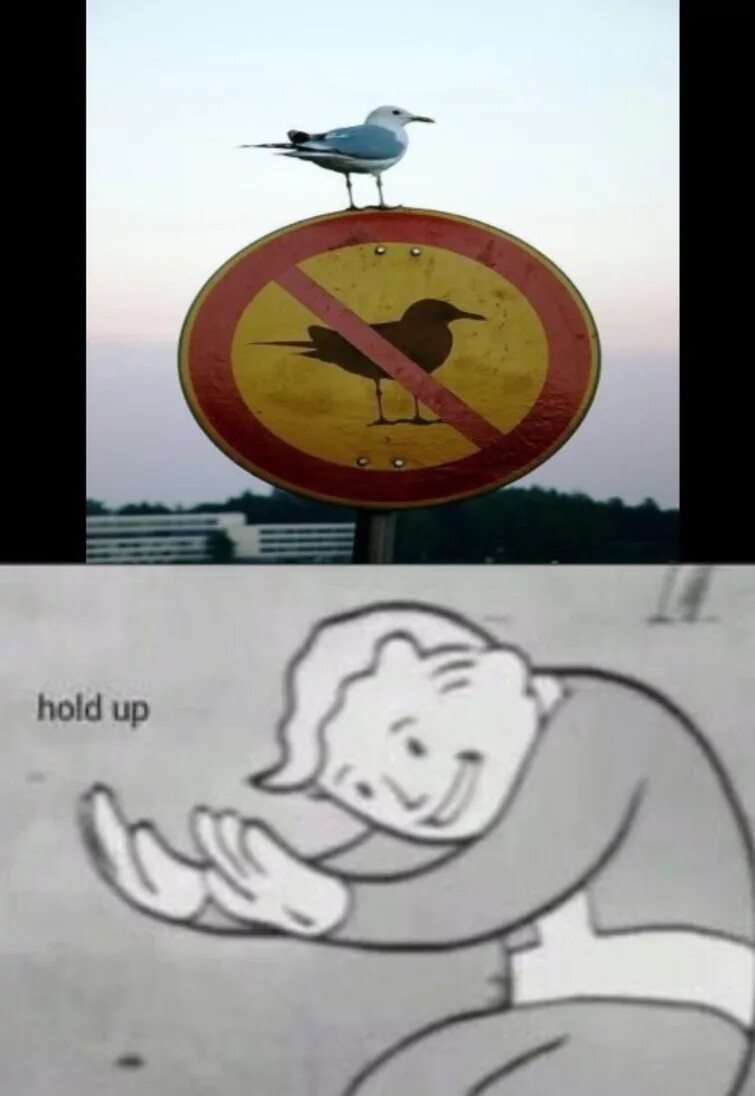 Мем секундочку фоллаут. Holld up. Holld up. Wait a minute мем фаллаут. Hold up fallout.