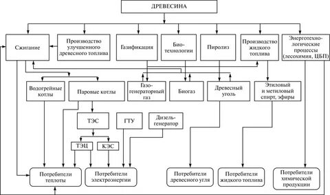 Тип энергии получаемый из древесины