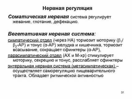 Работу чего регулирует соматическая нервная система