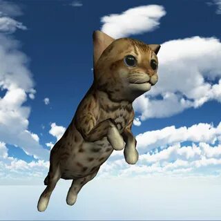 Летающие коты видео