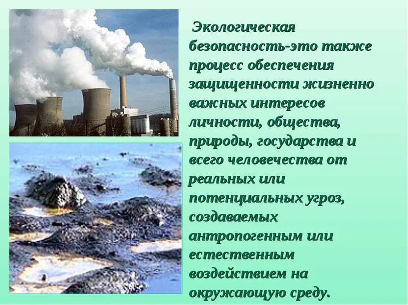 Что является экологической безопасностью