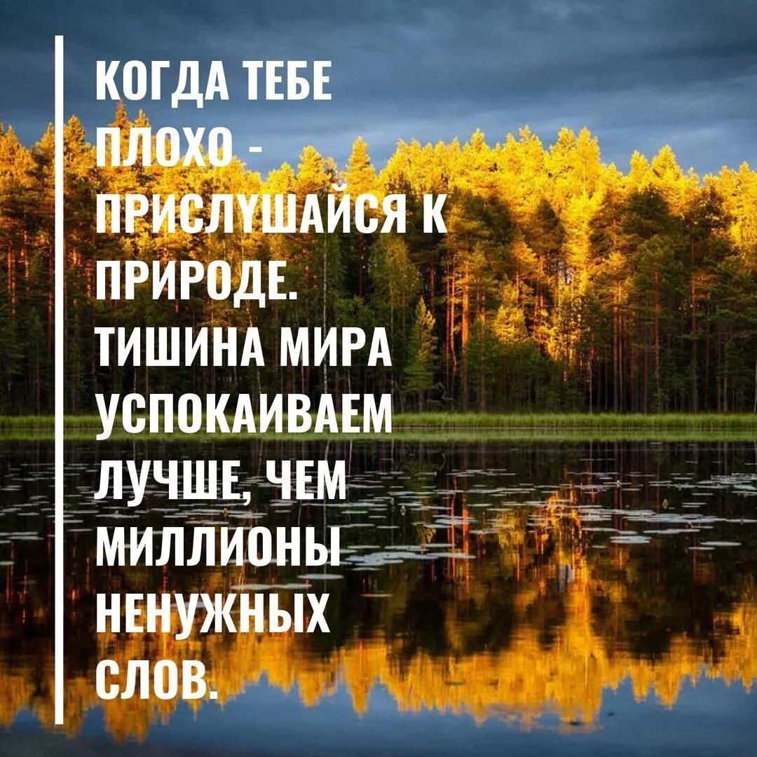 Природа высказывания великих. Цитаты про природу. Красивые высказывания о природе. Красивые фразы про природу. Афоризмы о природе и человеке.